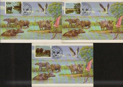Brasil Máximo Postal 103 / 103B Búfalos de Marajó 1984