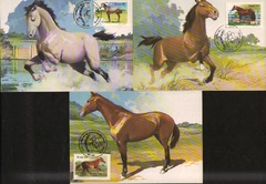 Brasil Máximo Postal 107 / 109 Cavalos de Raça 1985