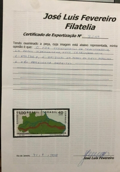 Brasil variedades C-699/700Y Marmorizado com certificado NN - comprar online
