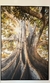 Quadro Canvas com Moldura 100x150cm