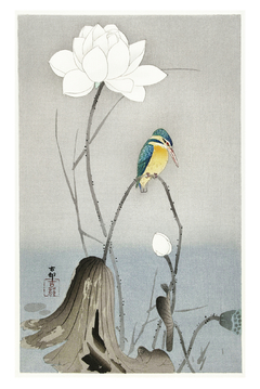 Lotus Bird