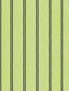 New Embroidered Stripes Lime