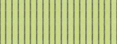 New Embroidered Stripes Lime - comprar online