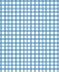 Small Gingham Blue