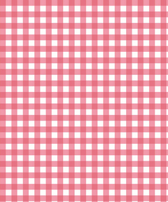 Corte Small Gingham Coral