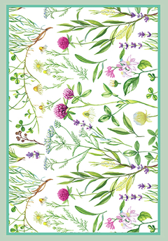 Set 4 diseños Wildflower Fuchsia para individuales! en internet