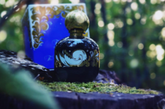 Enchanted Forest • The Vagabond Prince 100ml Eau de Parfum na internet