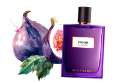 Figue • Molinard: Les éléments 75ml Eau de Parfum na internet