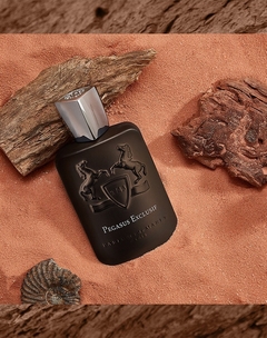 Pegasus Exclusif • Parfums de Marly 125ml Eau de Parfum na internet