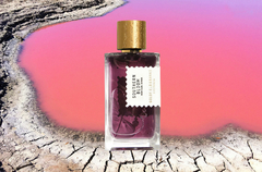 Southern Bloom • Goldfield & Banks 100ml Parfum - Arômes du Monde