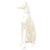 Estatueta Cachorro Galgo Inglês Branco 52cm Verito - comprar online