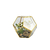 Terrário Decorativo Com Plantas Artificiais Modelo Dodecaedro Dourado na internet
