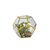 Terrário Decorativo Com Plantas Artificiais Modelo Dodecaedro Dourado - EUQUEROUM