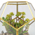 Imagem do Terrário Decorativo Com Plantas Artificiais Modelo Dodecaedro Dourado