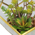 Terrário Decorativo Com Plantas Artificiais Modelo Dodecaedro Dourado - comprar online