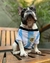 Camiseta SelecciÛn Afa Remera Premium Perro Futbol Mundial M - Mascotas Ya! | Online Pet Shop
