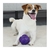 Pelota Gigwi Juguete Sonido Cascabel Rolling Bell Perros M - comprar online