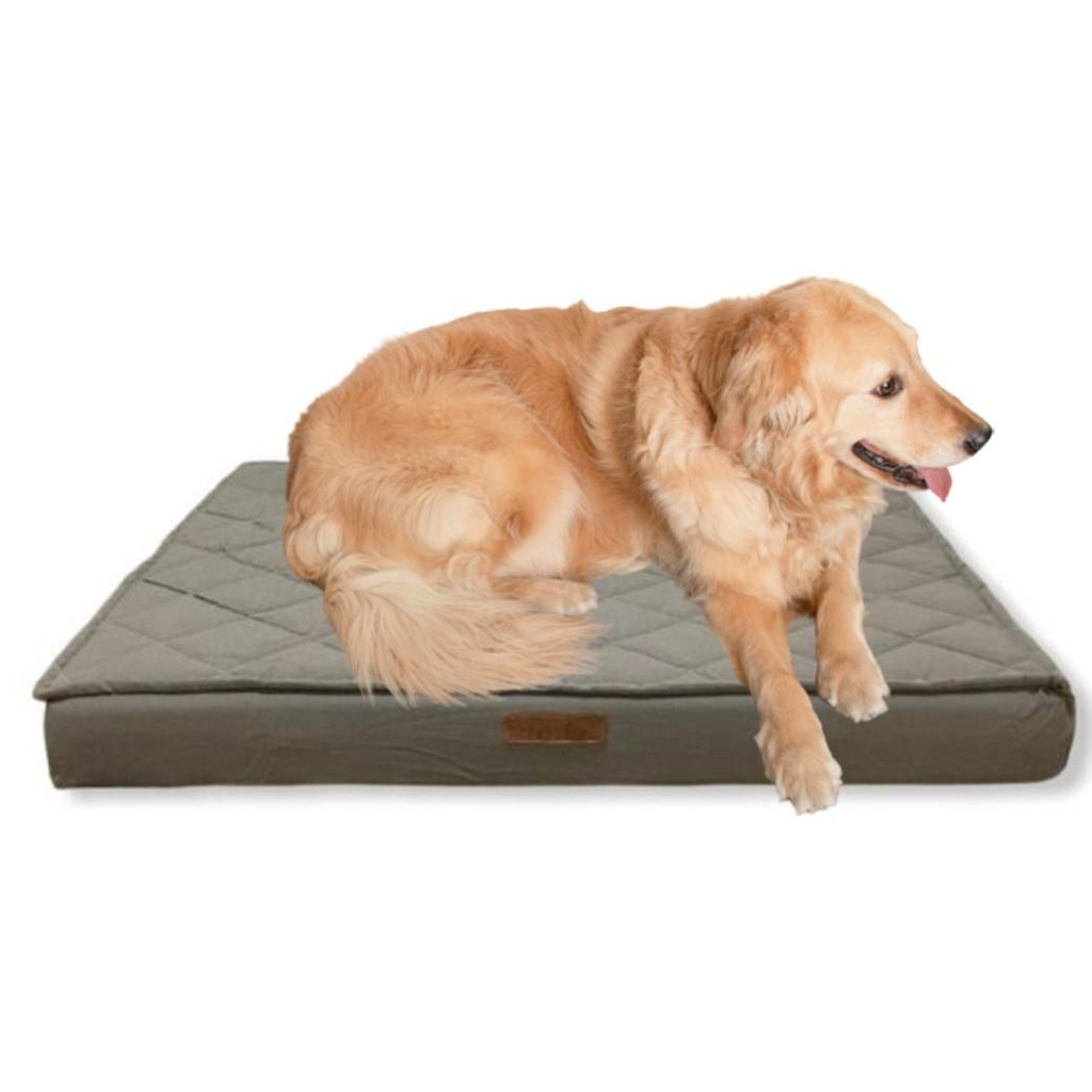 Colchon Comfort Cama Tipo Ortopedica Upper Pillow Con Funda Perros Xl