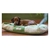 Cama Impetu Confort Con Funda Apto Lavarropa Almohadon Mascotas L - Mascotas Ya! | Online Pet Shop