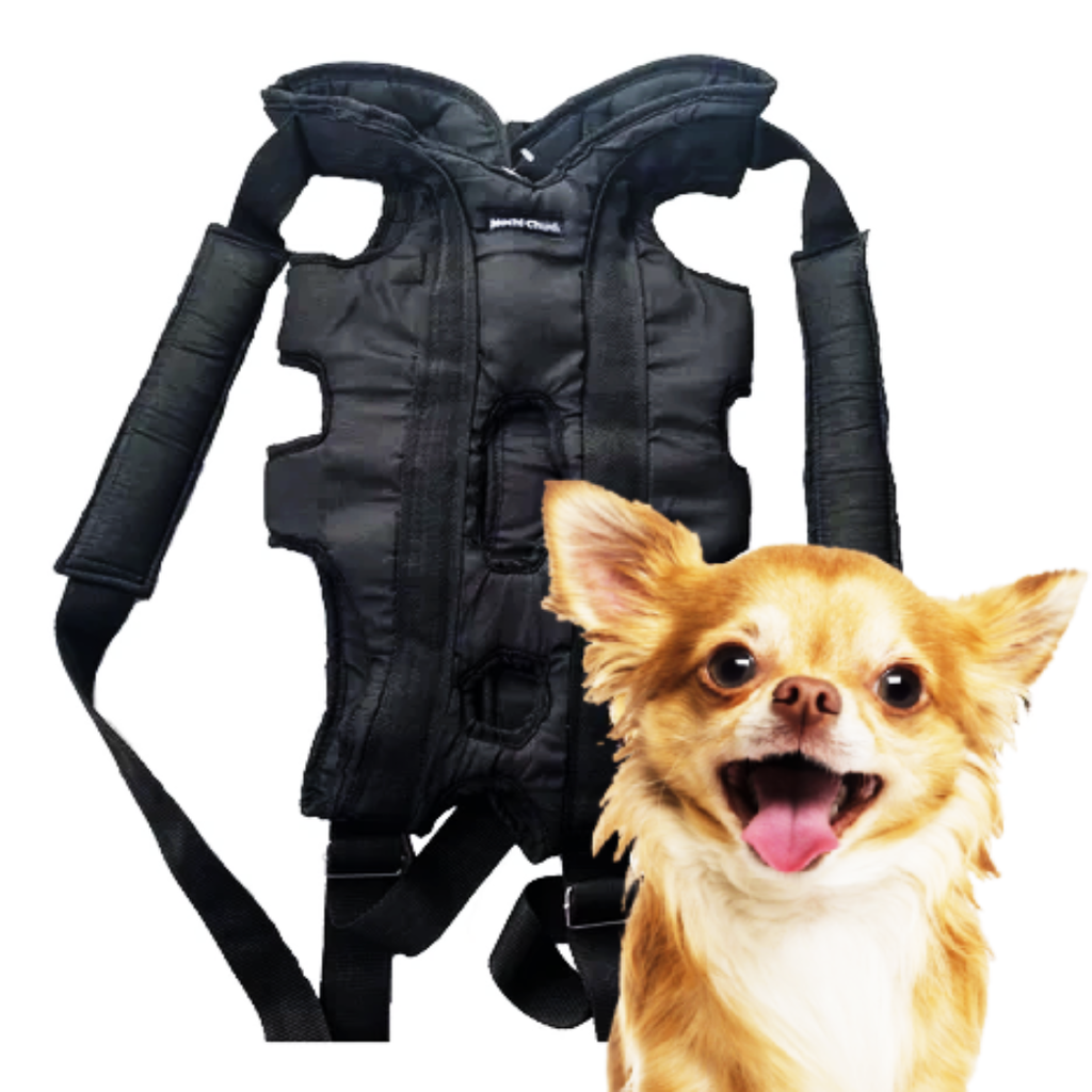 Bolso para llevar mascotas new arrivals