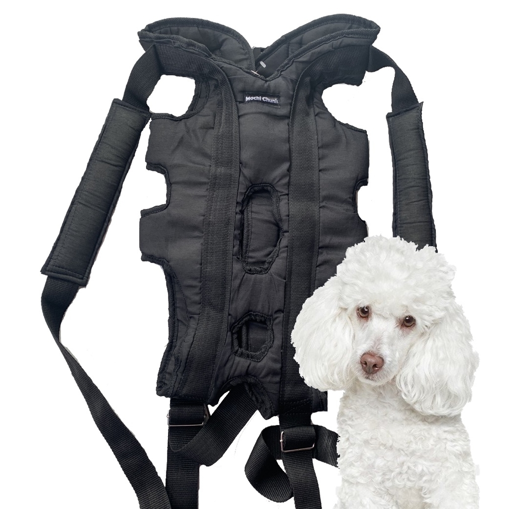 Mochila para transportar perros en moto new arrivals