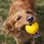 Pelota Ruffwear Turn Up Ball Treats 