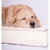 Colchon Cama Comfort Perros Grandes Upper Pillow Funda Xl