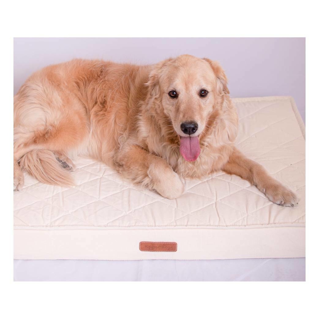 Colchon Comfort Cama Tipo Ortopedica Upper Pillow Con Funda Perros Xl