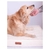 Colchon Cama Comfort Perros Grandes Upper Pillow Funda Xl