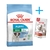 Alimento Balanceado Royal Canin Mini Puppy 3kg + Snack !