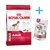 Alimento Balanceado Royal Canin Medium Adult 3kg + Snack !