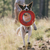 frisbee Ruffwear