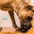 Juguete Tonipets Resistente Cono Rellenable Perros Grandes XL - Mascotas Ya! | Online Pet Shop