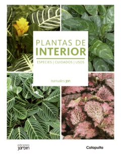 Plantas de interior - Lucía Cané