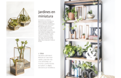 Plantas de interior - Lucía Cané - comprar online