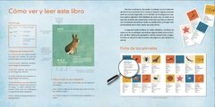 Animales Argentinos - Paula Fernández y Loreto Salinas en internet