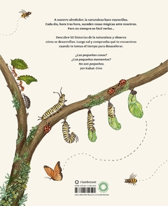 Con calma. 50 historias de la naturaleza - Rachel Williams y Freya Hartas - tienda online