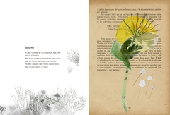 Vademécum de la Flora Naturalis Imaginaria - Irene Singer y Brenda Twiler - comprar online