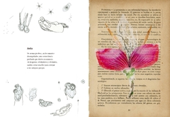 Vademécum de la Flora Naturalis Imaginaria - Irene Singer y Brenda Twiler en internet
