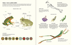 Agua y tierra, anfibios y reptiles de América - Marty Crump, Andy charrier y Loreto Salinas - tienda online