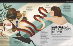 Bellezas. Historia de la diversidad - Soledad Romero Mariño y Alicia Caboblanco en internet