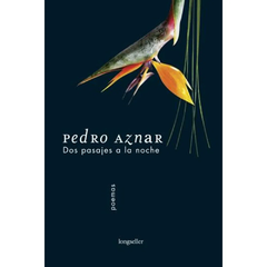 Dos pasajes a la noche - Pedro Aznar