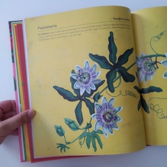 Nativas. Flores argentinas - Loreto Salinas/ Fernández/ Burgos - La Livre - Librería de barrio