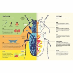 Insectopedia - Daniel Aguilera Olivares e Itza Maturana - tienda online