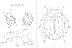 Insectopinta - Daniel Aguilera-Olivares e Itza Maturana - La Livre - Librería de barrio