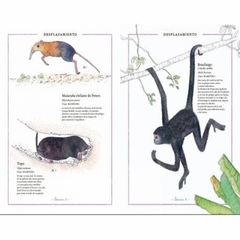 Inventario ilustrado de animales - Virginie Aladjidi - comprar online