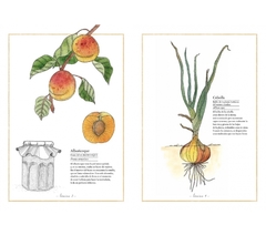 Inventario ilustrado de frutas y verduras - Virginie Aladjidi en internet