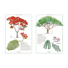 Inventario ilustrado de árboles - Virginie Aladjidi - comprar online