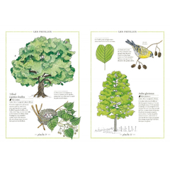Inventario ilustrado de árboles - Virginie Aladjidi en internet