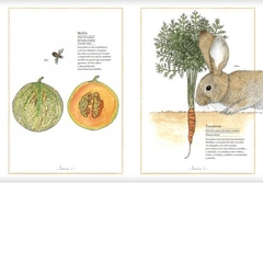 Inventario ilustrado de frutas y verduras - Virginie Aladjidi - La Livre - Librería de barrio